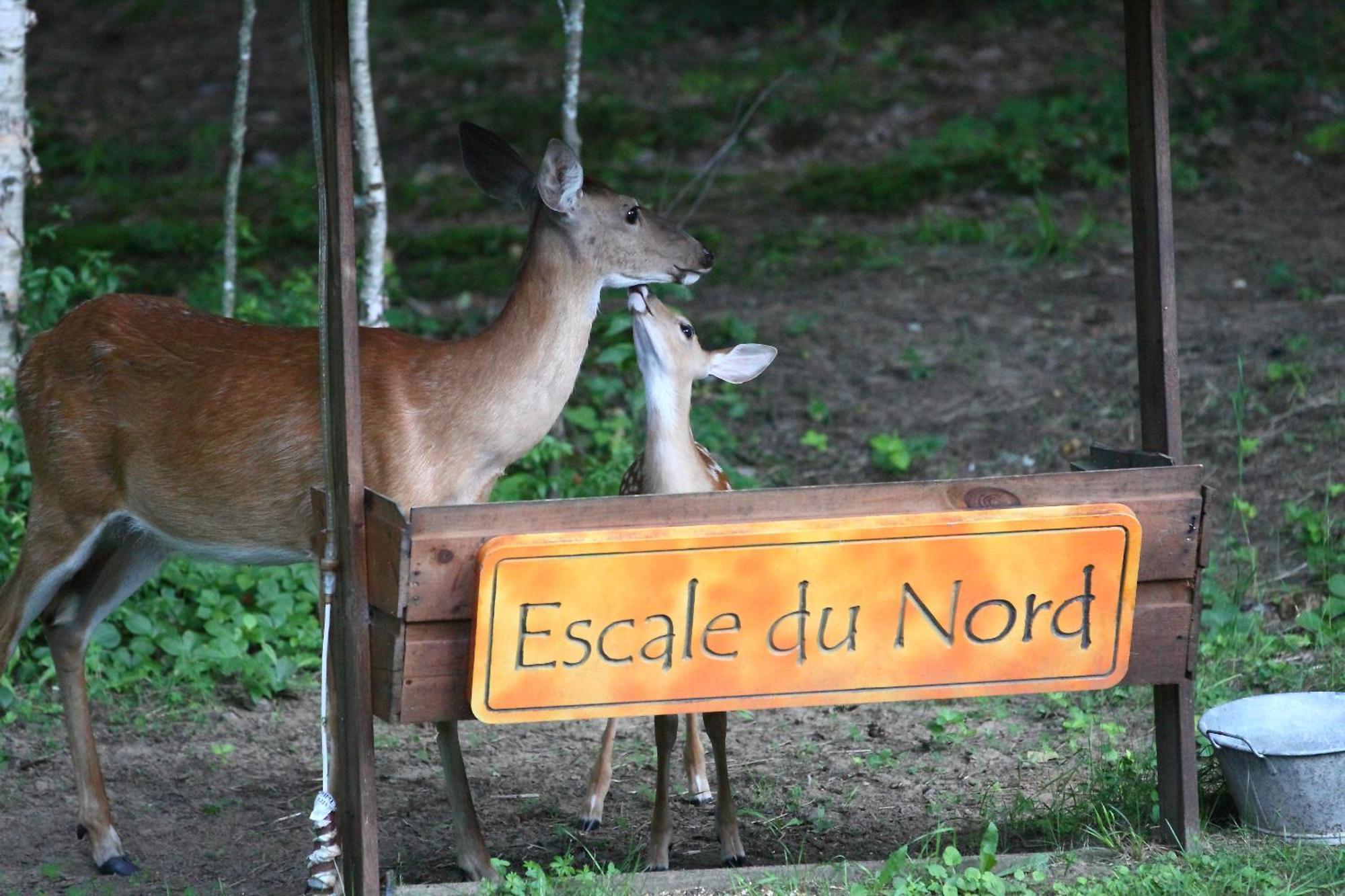 กีต เอสเกล ดู นอร์ด Bed & Breakfast มงต์-ทร็องบล็องต์ ภายนอก รูปภาพ
